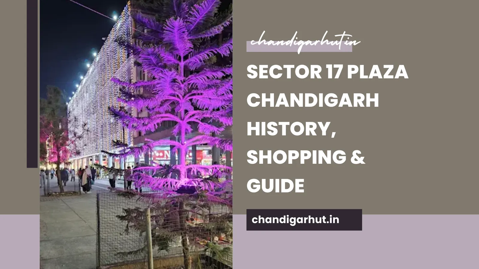 Sector 17 Plaza Chandigarh History, Shopping &amp; Guide
