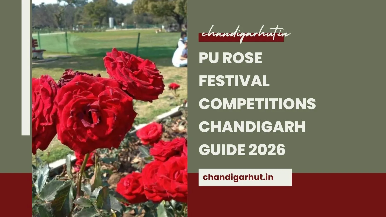 PU Rose Festival Competitions Chandigarh Guide 2026