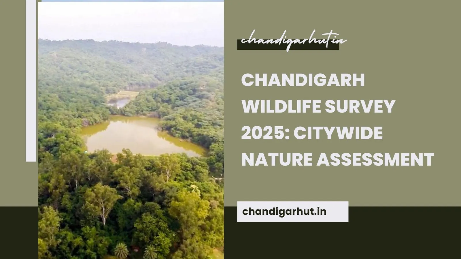 Chandigarh Wildlife Survey 2025: Exploring the City’s Wildlife During the November 20–28 Survey