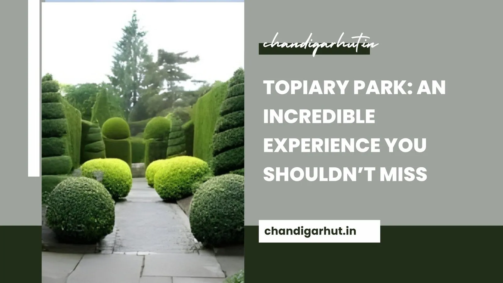 Topiary Park: An Incredible Experience You Shouldn’t Miss