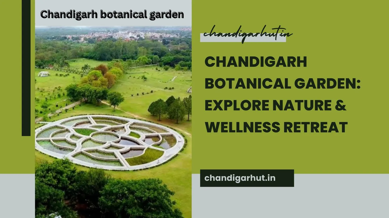 Chandigarh Botanical Garden: A Tranquil Escape into Nature’s Heart