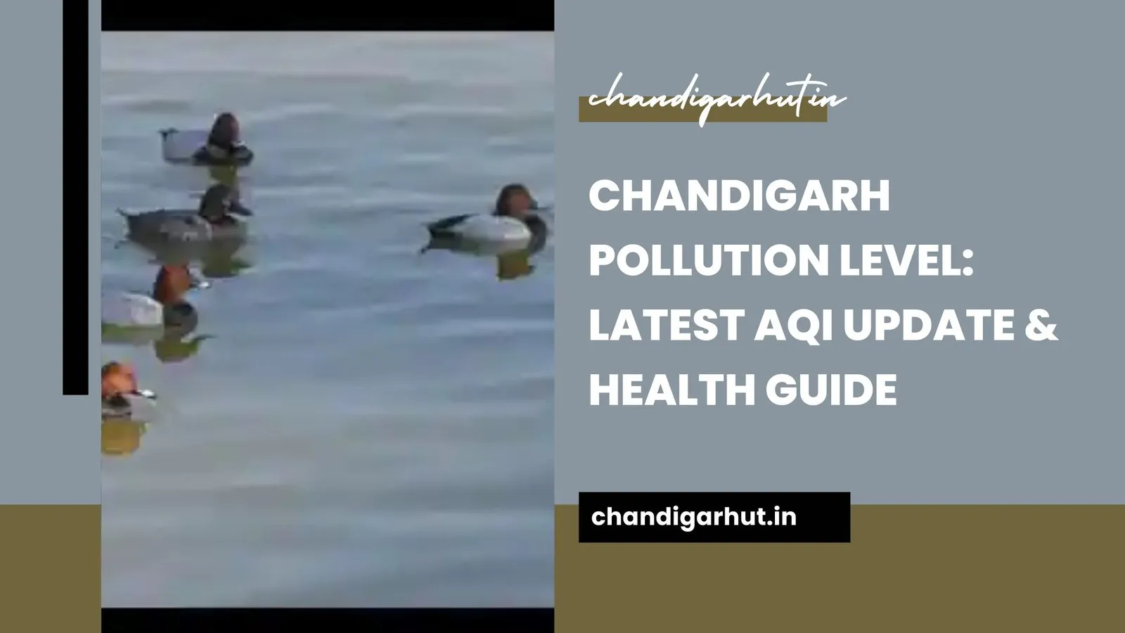 Chandigarh Pollution Level: 7 Shocking Truths You Should Know About the City’s Air