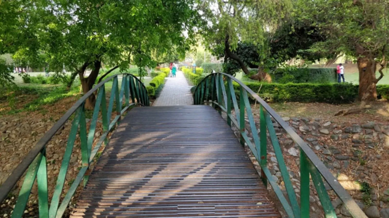 Nature & Green Spaces