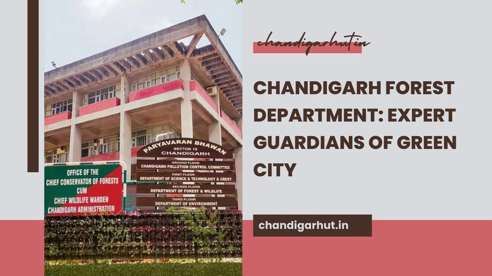 Chandigarh Forest Department: Guardians of Green in the City Beautiful