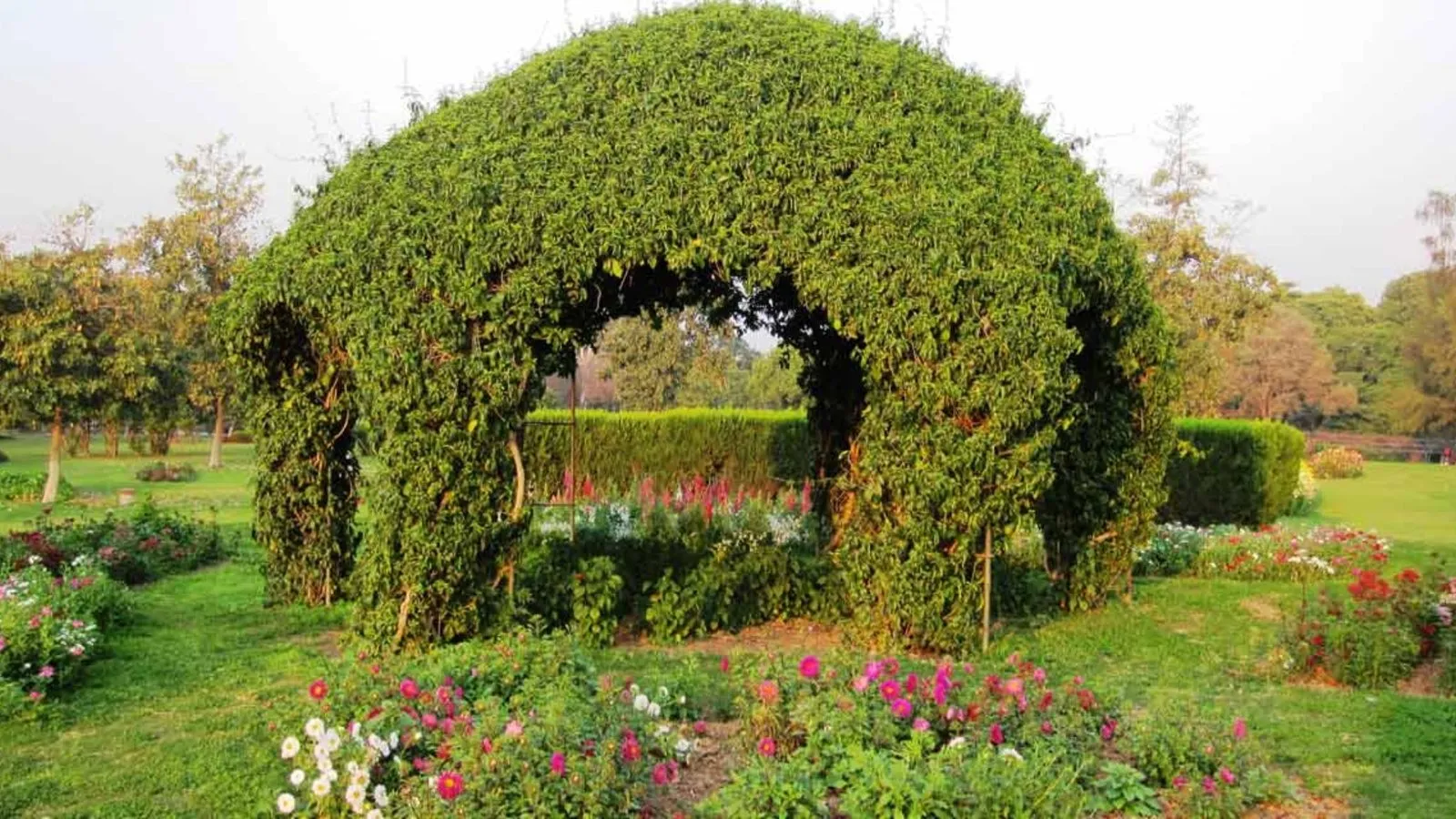 Chandigarh Gardens & Parks