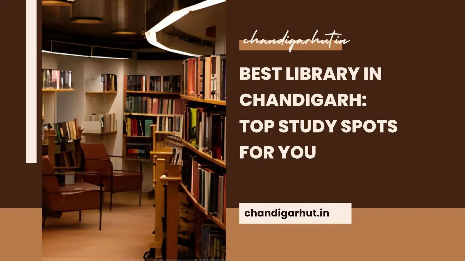 Best Library in Chandigarh – 6 Peaceful Reading Havens You’ll Love