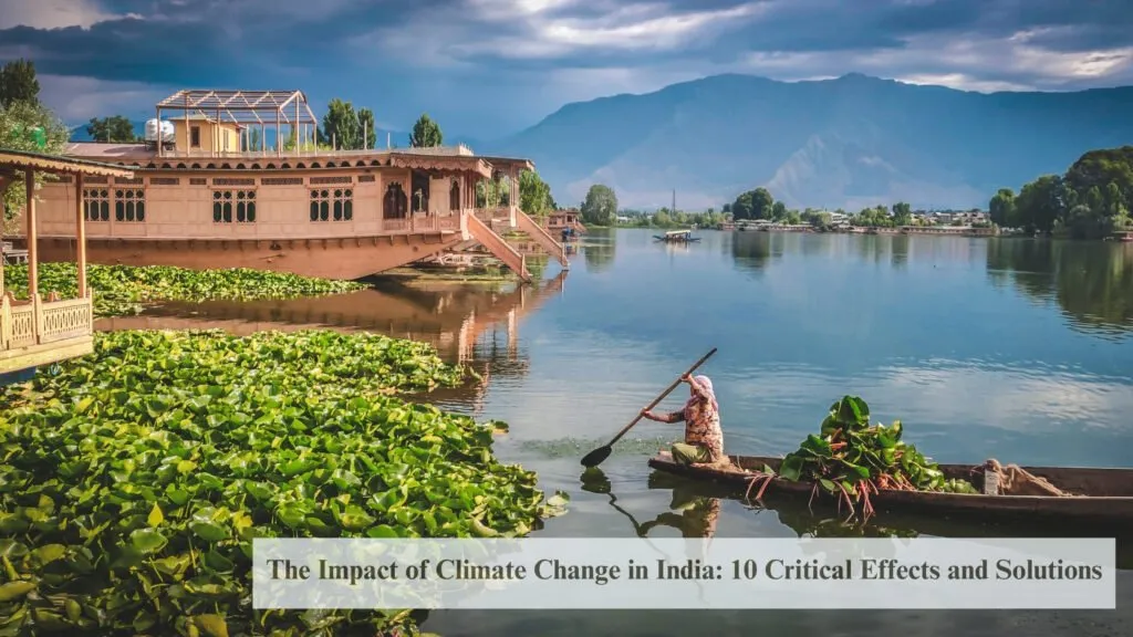 impact of climate change in india