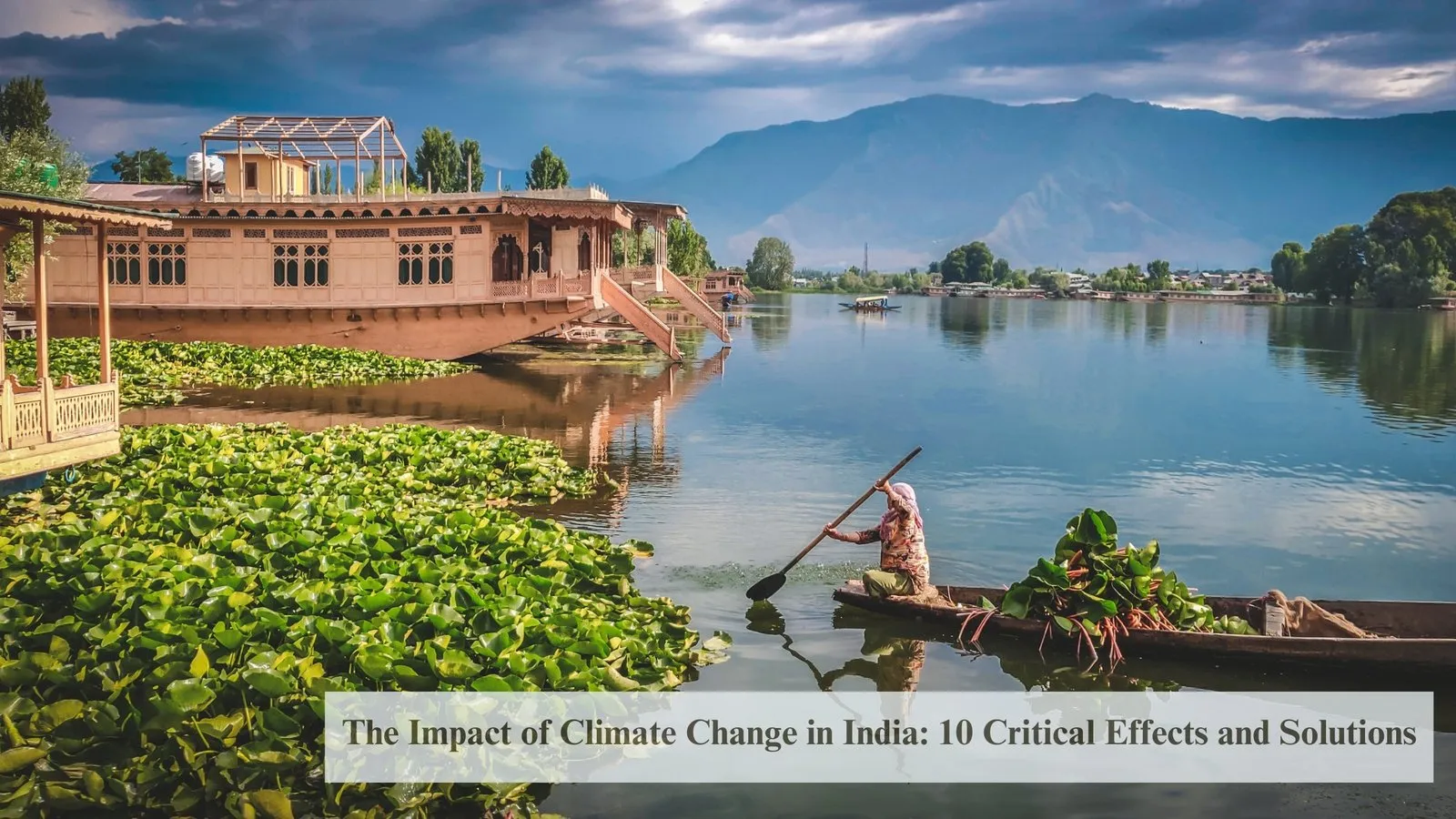 The Impact of Climate Change in India: 10 Critical Effects and Solutions