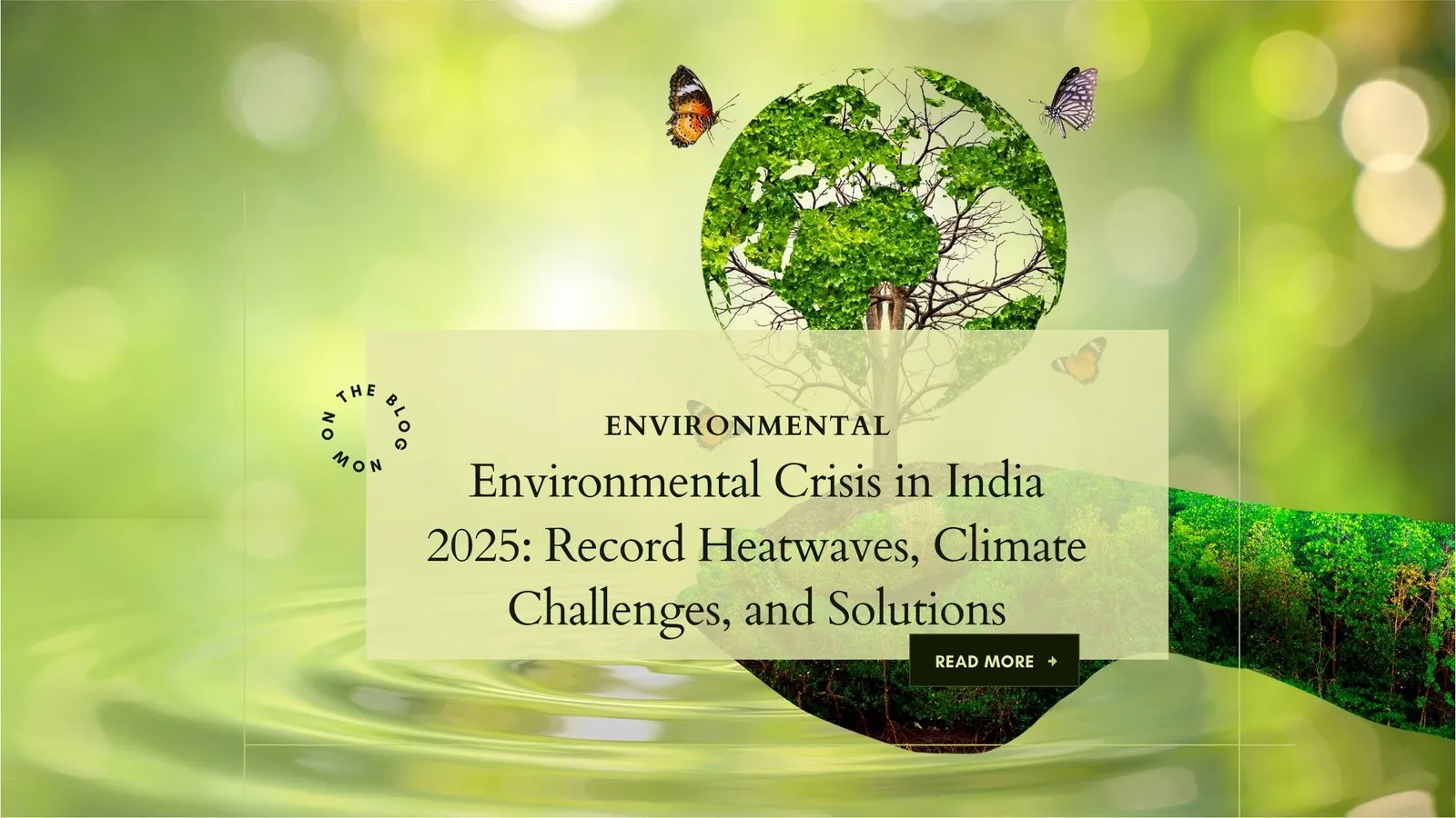Environmental Crisis in India 2025: Record Heatwaves, Climate Challenges, and Solutions