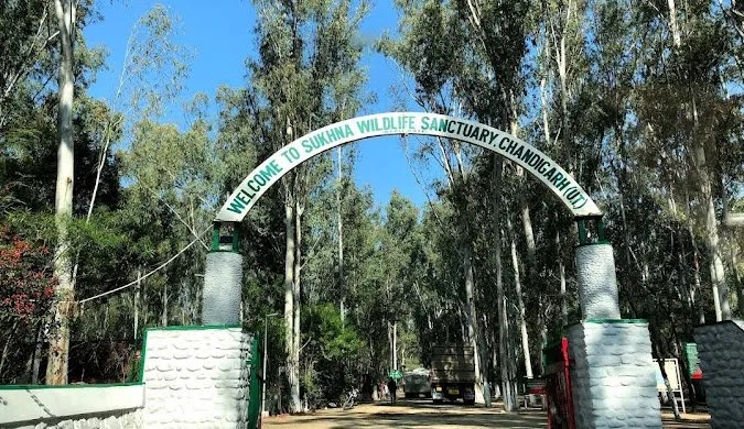 Sukhna Wildlife Sanctuary in Chandigarh