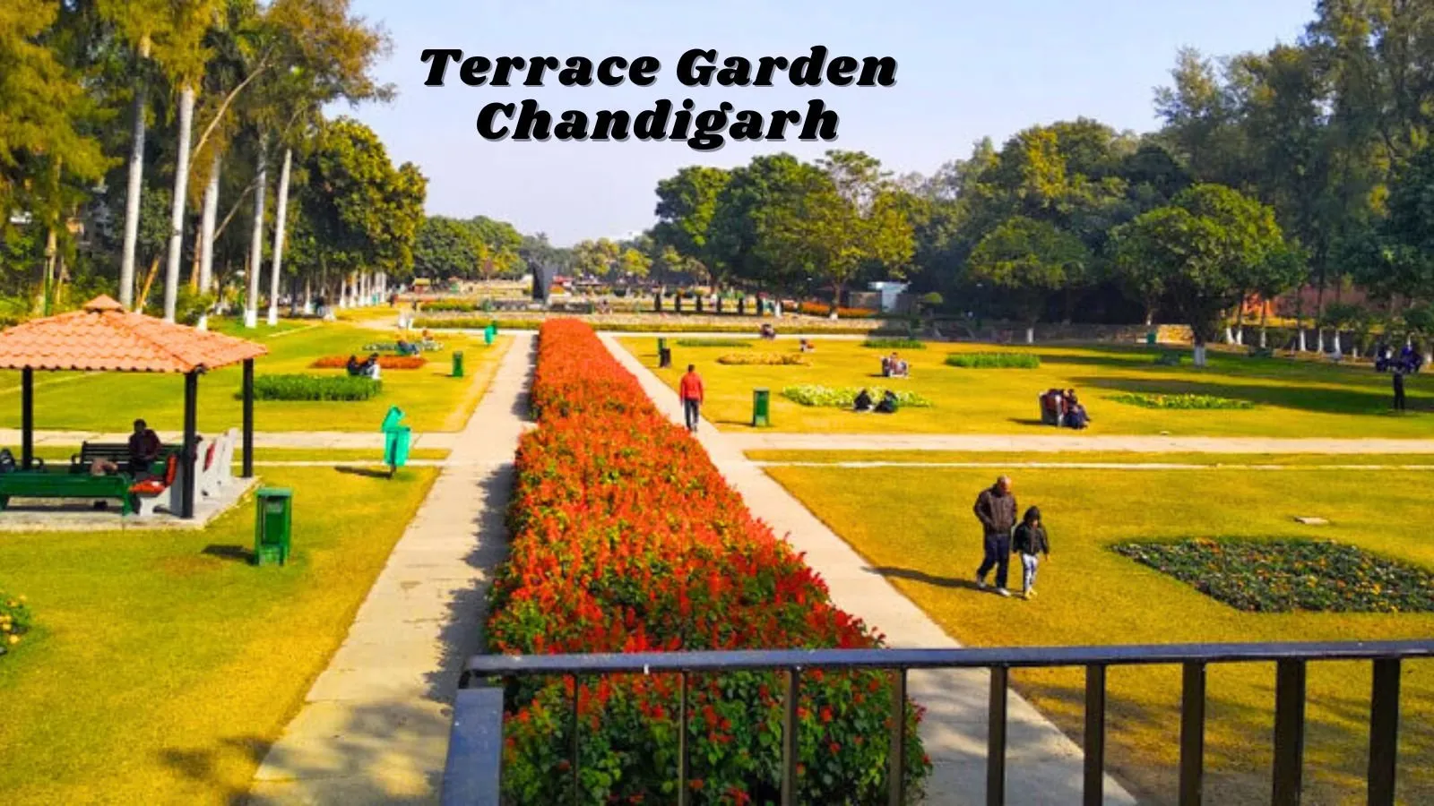 Terrace Garden Chandigarh is a Must-Visit Green Retreat