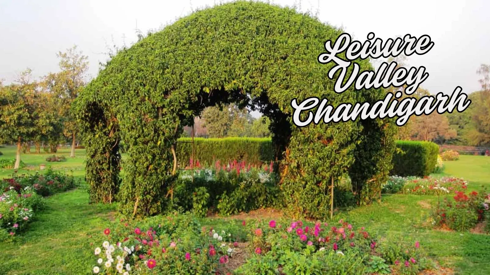 Leisure Valley Chandigarh – A Nature Lover’s Paradise!