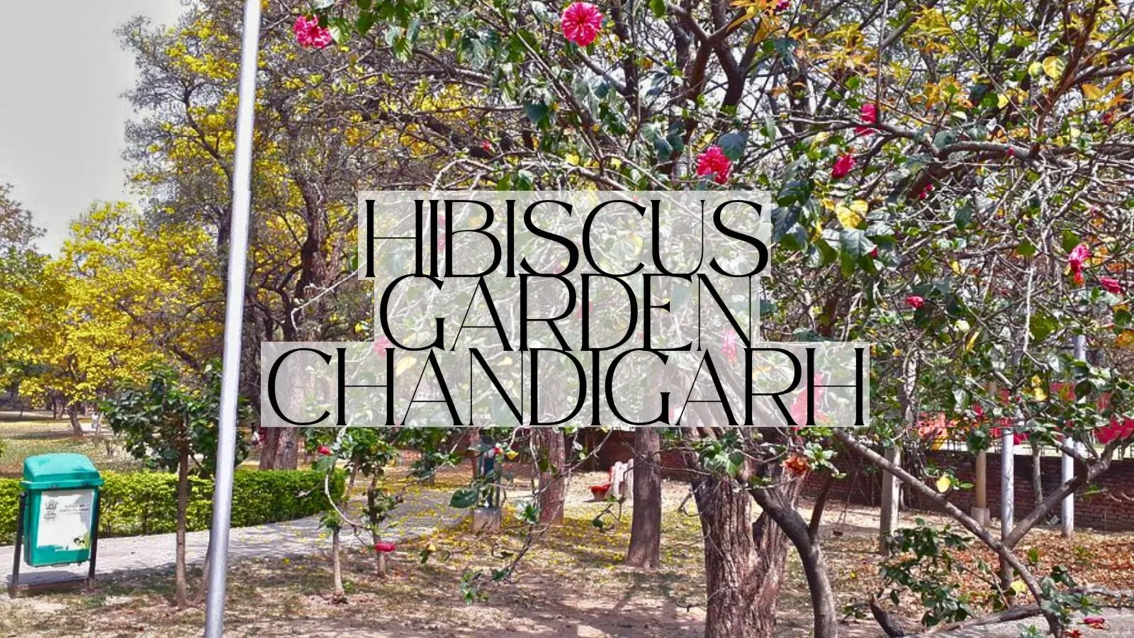 Hibiscus Garden Chandigarh is a Must-Visit