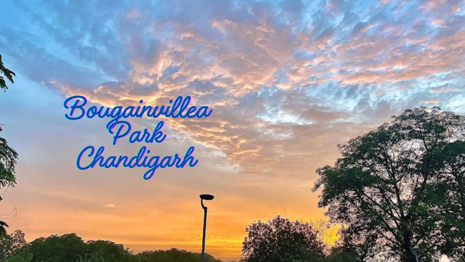 Bougainvillea Park Chandigarh: Stunning Reasons to Visit