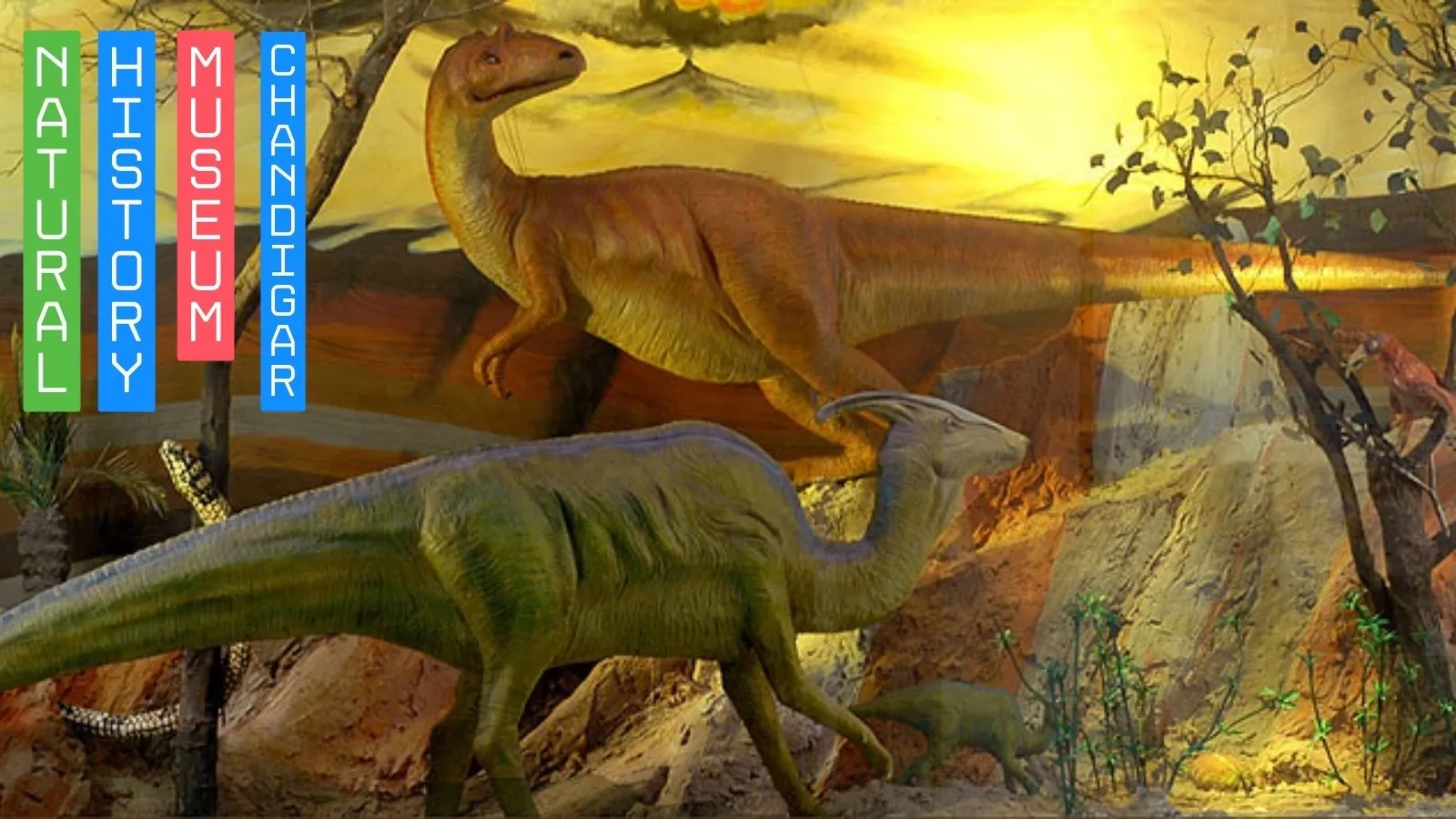 Discover the Natural History Museum Chandigarh