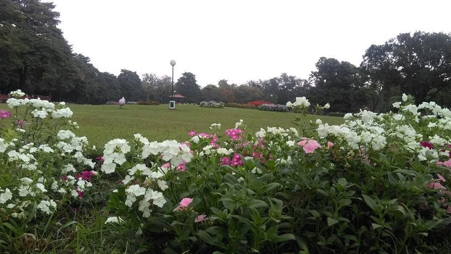 Garden of Fragrance Chandigarh