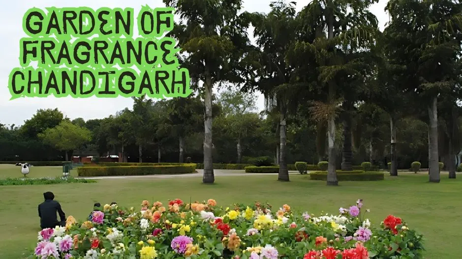 Tranquil Beauty of Garden of Fragrance Chandigarh