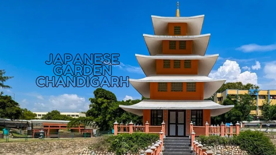 Discover the Japanese Garden Chandigarh: A Serene Escape