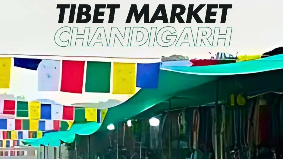 Tibet Market Chandigarh: Where Shopping Meets Charm