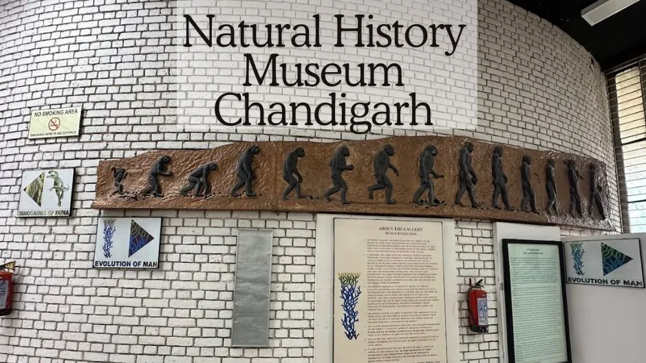 7 Facts About Natural History Museum Chandigarh