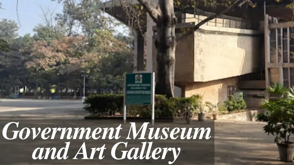 Explore the Government Museum and Art Gallery