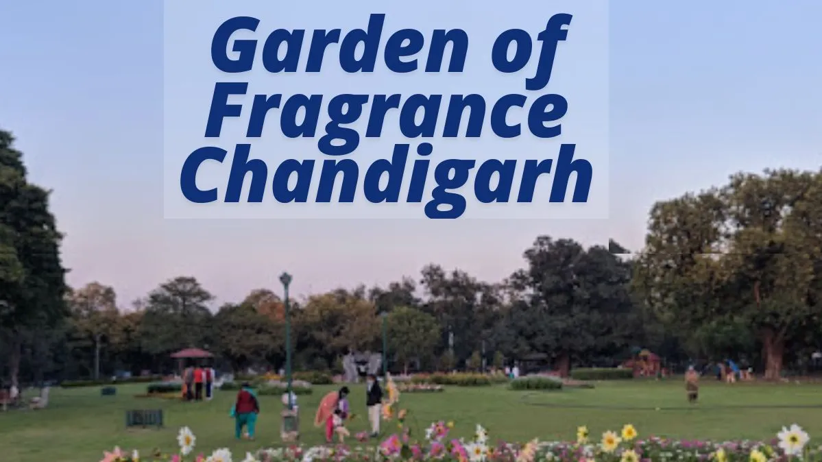 Garden of Fragrance Chandigarh Will Captivate Your Senses