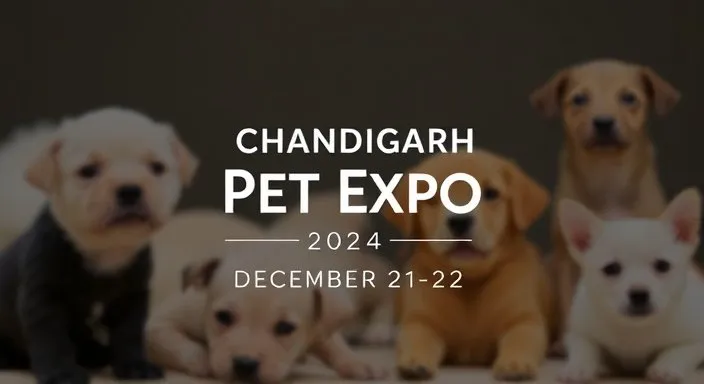 Chandigarh Pet Expo 2024: A Premier Pet Industry Event