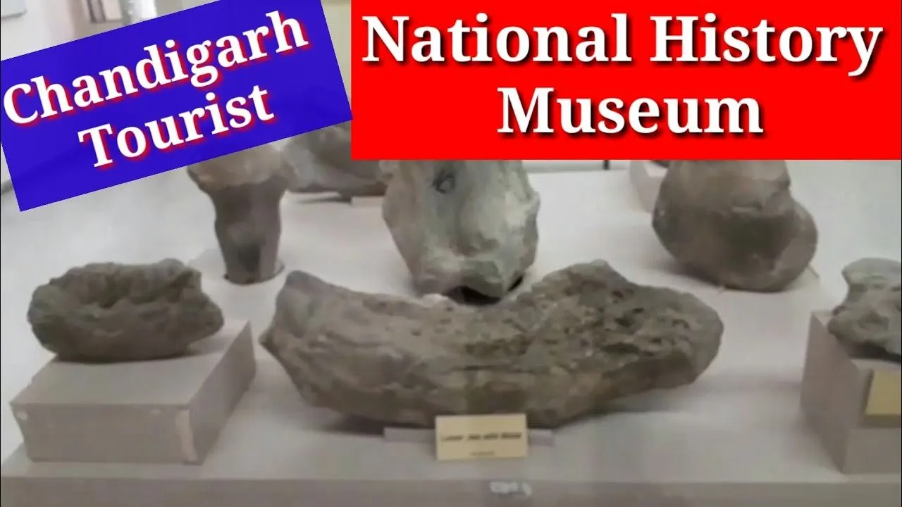 Exploring Natural History Museum Chandigarh