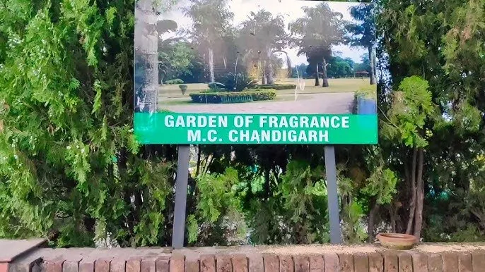 Garden of Fragrance Chandigarh: A Comprehensive Guide to the Iconic Garden of Flowers
