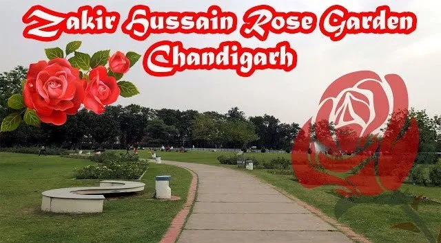 5 Powerful Reasons to Visit Zakir Hussain Rose Garden: A Blooming Paradise in Chandigarh