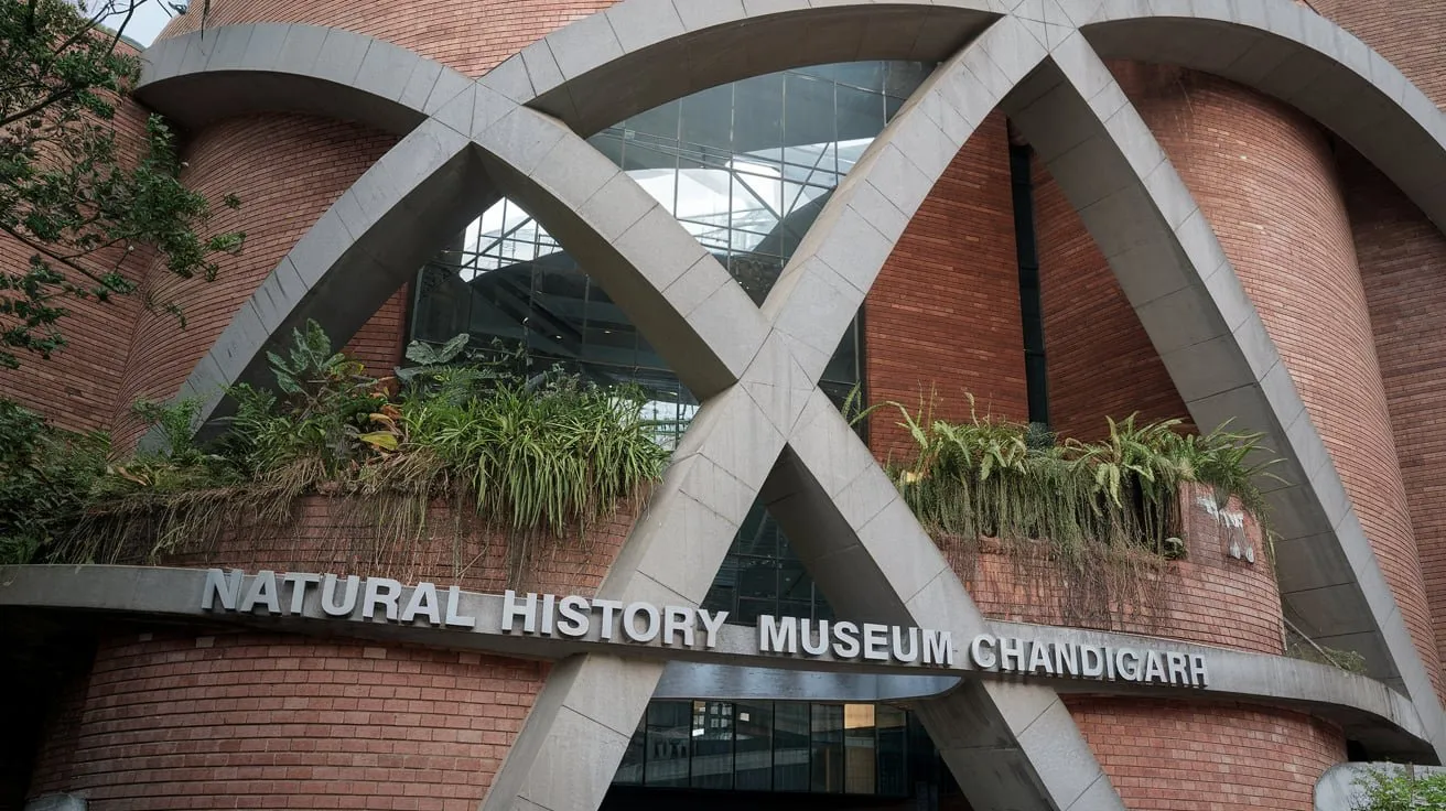 5 Reasons to Visit the Natural History Museum Chandigarh – An Immersive Dive into India’s Natural History