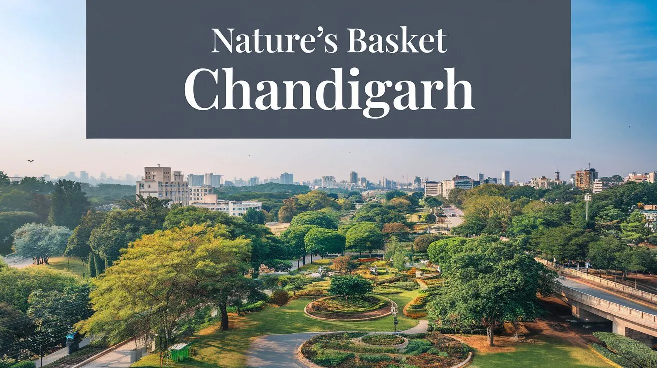Nature’s Basket Chandigarh: The Ultimate Destination for Organic, Gourmet, and Sustainable Food