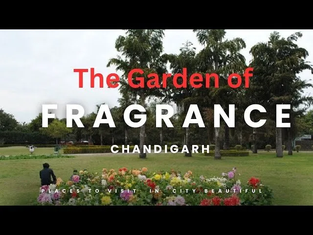 Discover the Tranquil Beauty of the Garden of Fragrance Chandigarh