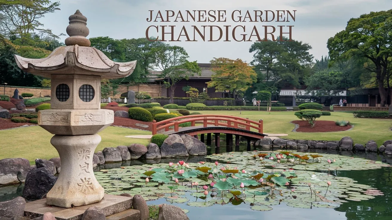 Japanese Garden Chandigarh 10 Reasons to Visit: A Complete Guide