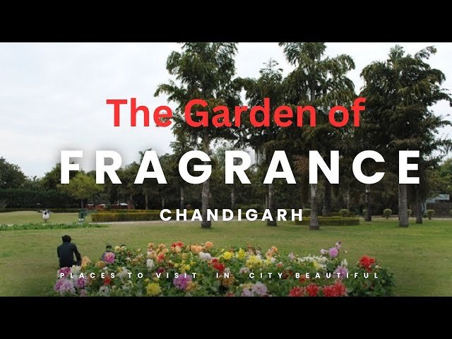 Discover the Tranquil Beauty of the Garden of Fragrance Chandigarh 6 Garden of Fragrance Chandigarh