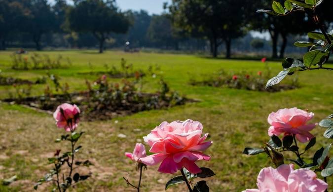 Zakir Hussain Rose Garden