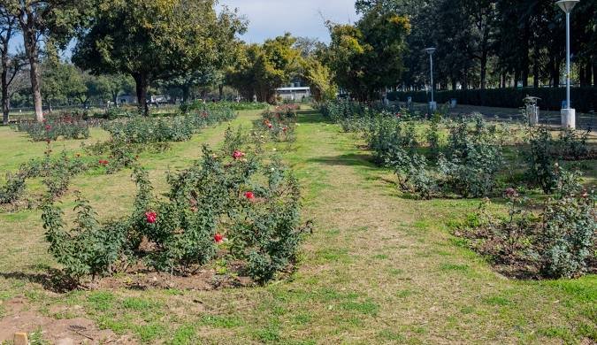 Zakir Hussain Rose Garden