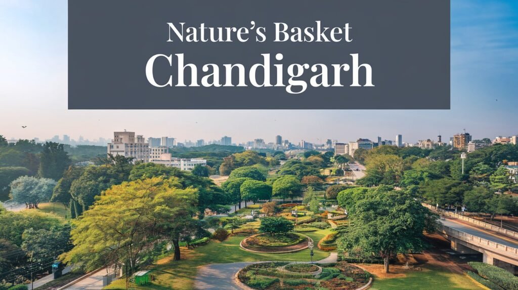 Nature’s Basket Chandigarh