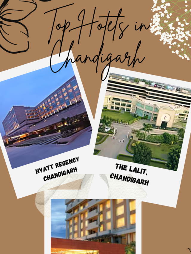 Top Hotels in Chandigarh