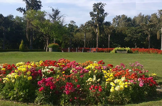 Garden of Fragrance Chandigarh