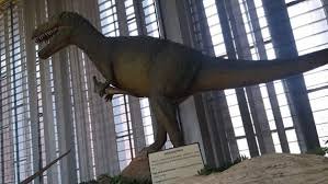 Natural History Museum Chandigarh