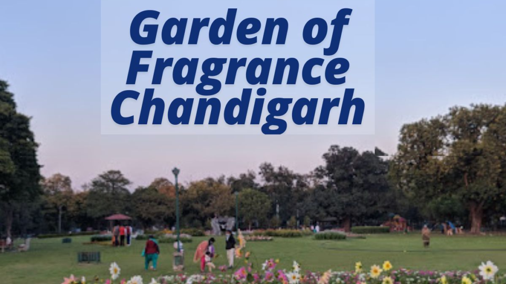 Garden of Fragrance Chandigarh