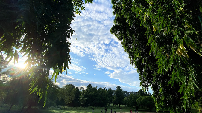 Bougainvillea Park Chandigarh