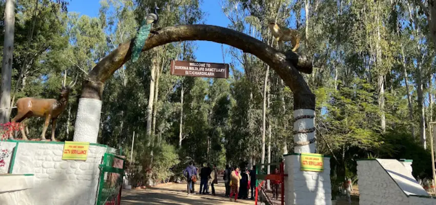 Sukhna Wildlife Sanctuary