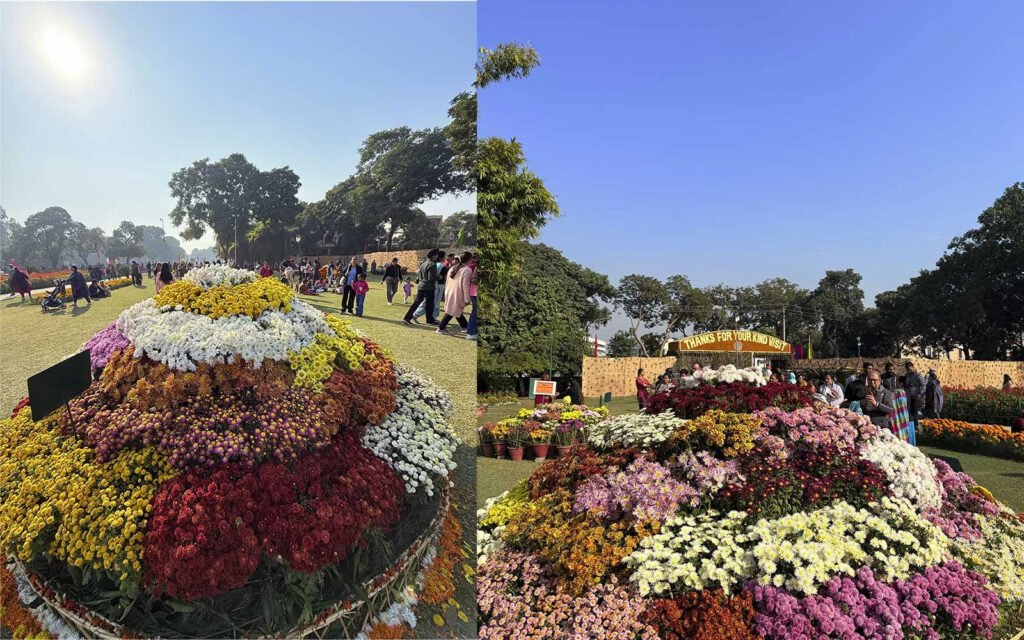 Terrace Garden Chandigarh