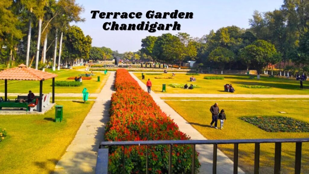 Terrace Garden Chandigarh