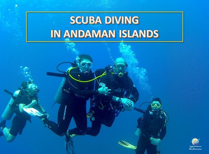 Top 5 Andaman Scuba Diving Spots You Can't Miss 6 Andaman Scuba Diving