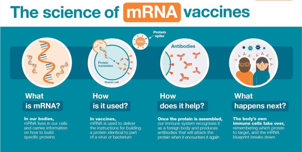 mRNA Vaccine in India: What Do Doctors Say? 6 mRNA Vaccine