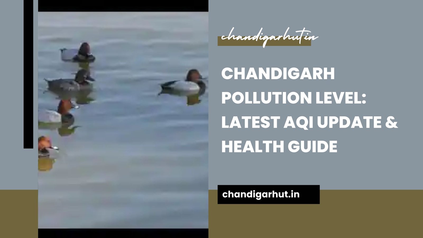 Chandigarh Pollution Level