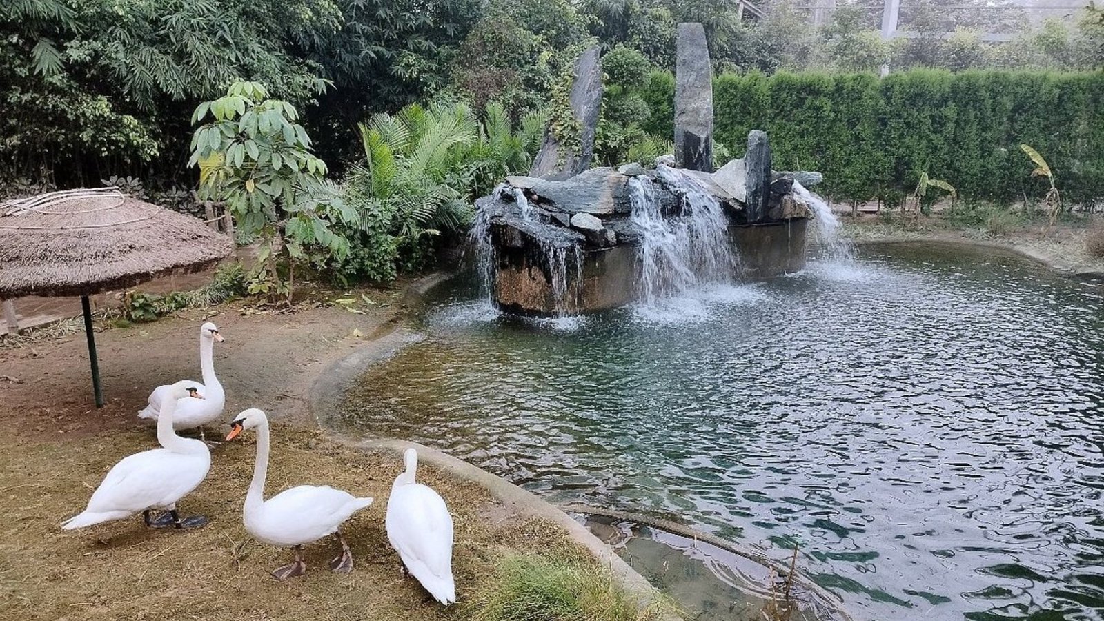 Chandigarh Tourism Chandigarh Tourism 2